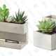 Kikkerland Concrete Desktop Planter, Large | $24 | Amazon
Kikkerland Concrete Desktop Planter, Small | $12 | Amazon